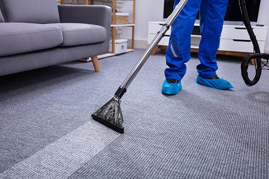 Looking the Best Rug Cleaning Services in Sarasota Here's What Many Homeowners Fail to Realize