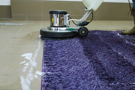 Why Sarasota’s Coastal Environment Demands Professional Area Rug Cleaning