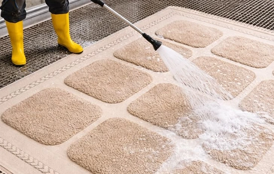 Why Choose Sarasota Carpet Cleaning